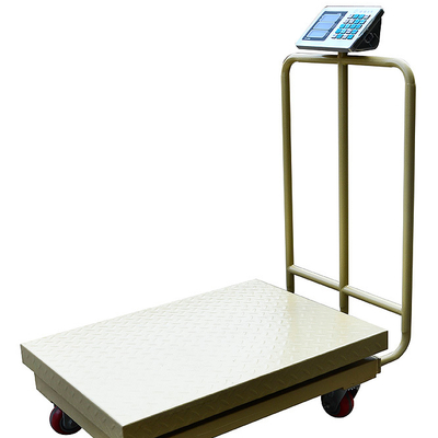 DaHongYing TCS-F Digital Computing Scale with LCD Display and Power Supply Options from DaHongYing