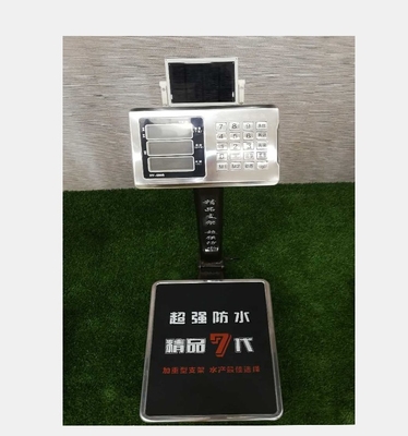 Ce Approval Stainless Steel Model Scale Plane Solar Waterproof Digital Scale with 110-220V AC Power Supply