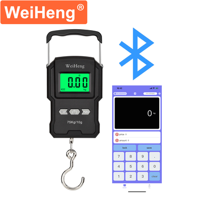 75kg Hand USB Rechargeable Portable Digital Travel Hanging Weighing Scale WH-A27 for Easy Weight Management on the Go
