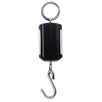 Weiheng C200 Portable Digital Crane Scale with High Precision and AAA Battery Power Supply 200kg ABS Material