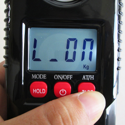 Lock Function Mini Digital Crane Scale Industrial Hook Weighing Scale 300 KG with 2*AAA Batteries