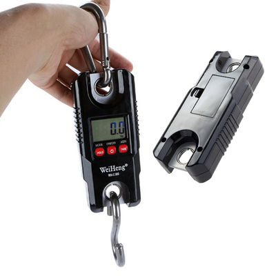 Mini 300 KG ABS Plastic Stainless Steel Precision Digital Electronic Hanging Scale Crane Weight Scale with High Precision