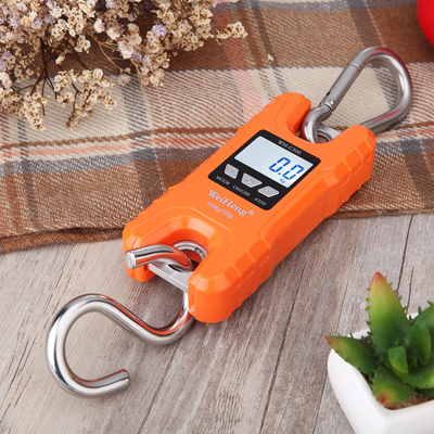 Highly Accurate 500 kg Industrial WH-C500 Crane Scale with ROHS Certification and 100 G Accuracy