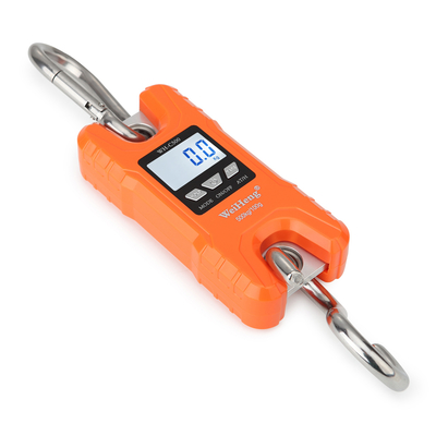 Highly Accurate 500 kg Industrial WH-C500 Crane Scale with ROHS Certification and 100 G Accuracy